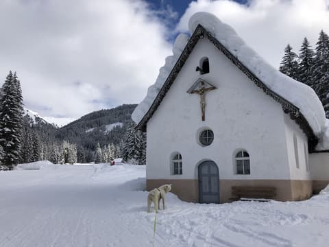 Alpine Touring Hotel, Snowshoeing