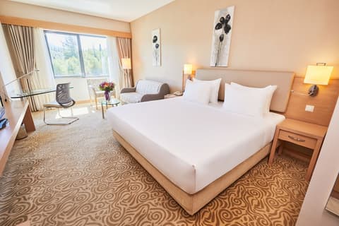 Park Dedeman Denizli, Room