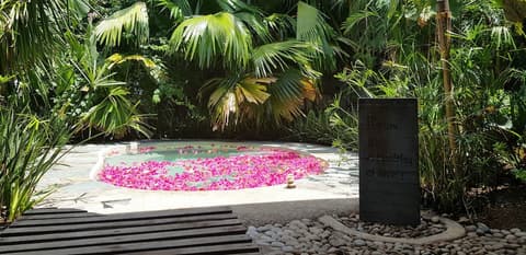 Ocean Vida Beach and Dive Resort, Spa