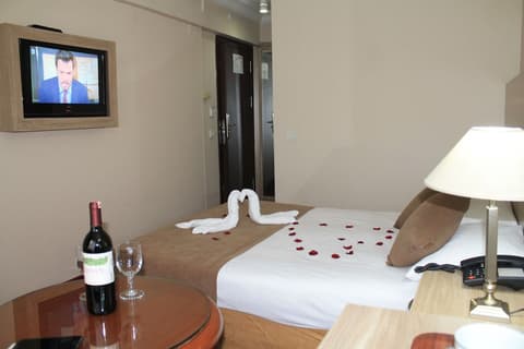 Hotel Büyük Şahinler, Room
