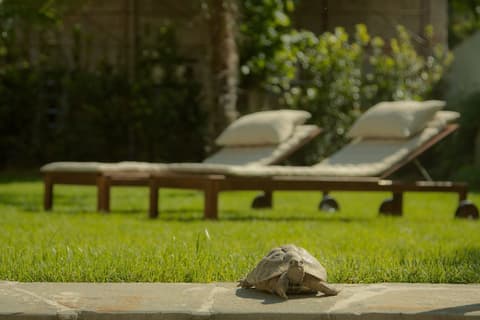 Relais la Corte di Cloris, Sundeck