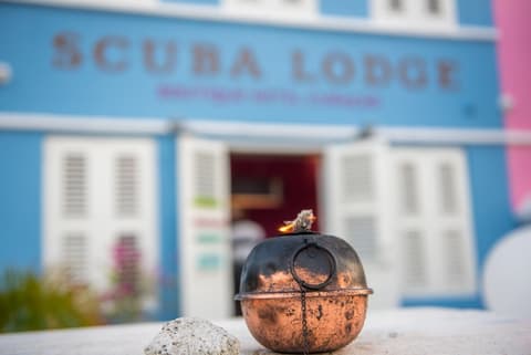 Scuba Lodge & Ocean Suites, Lobby sitting area