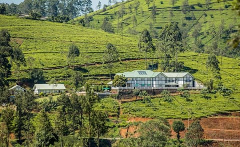 Langdale Boutique Hotel by Amaya, Exterior