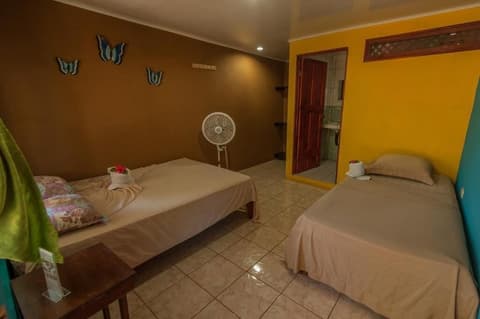 Hotel El Icaco Tortuguero, Room