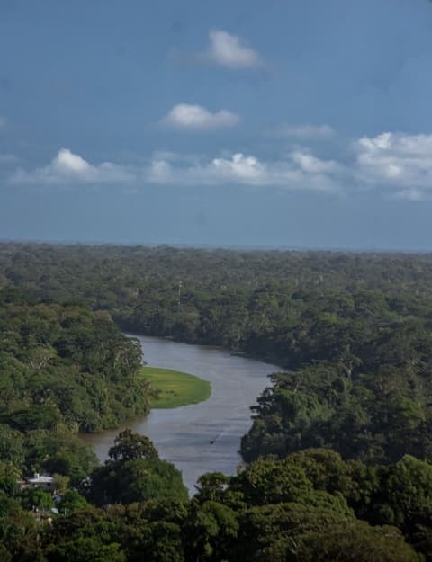 Hotel El Icaco Tortuguero, Outdoor rock climbing