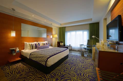 Radisson Blu Hotel Ahmedabad, Room