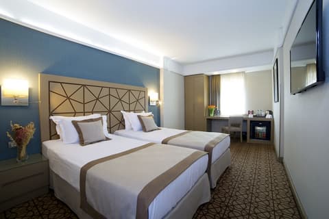 Ramada by Wyndham Istanbul Taksim, Room