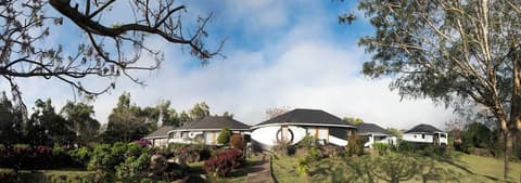 Altiplanico Rapa Nui, Room