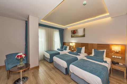 The Meretto Hotel İstanbul Old City, Room