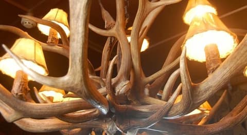 Shakespeare Hotel Surry Hills, 