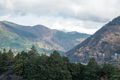 Wisterian Life Club Verde no Mori, Property amenity