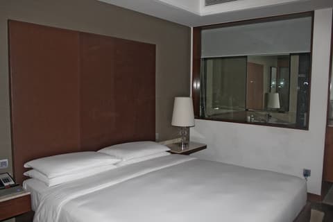 Hyatt Ahmedabad, Room
