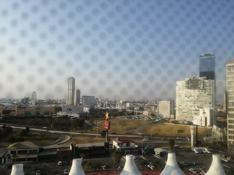 Wyndham Puebla Angelopolis, View from room
