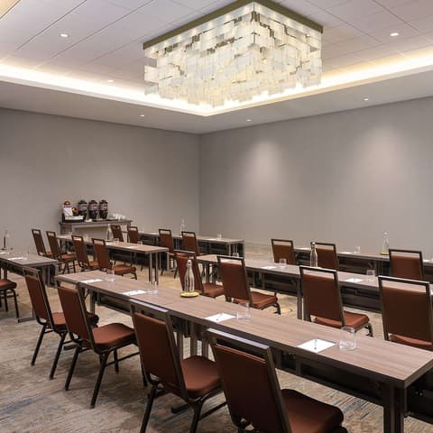Hilton Garden Inn Grapevine at Silverlake Crossing, Meeting facility
