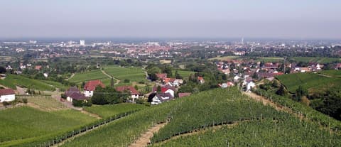 Holiday Inn Express Offenburg by IHG, Property amenity