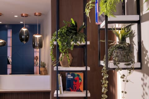 Ikonik Jean Medecin, Reception