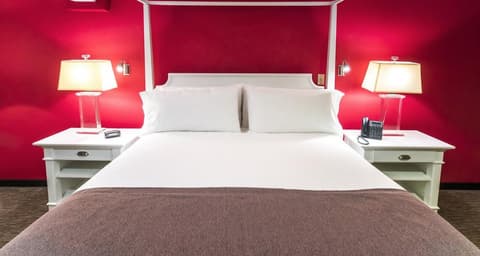 Urban Green Hotel & Suites, Room