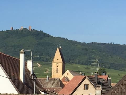 Auberge Alsacienne, Vineyard