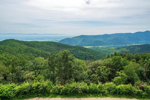 L'Alexain Hôtel Restaurant & Wellness, Terrace/patio