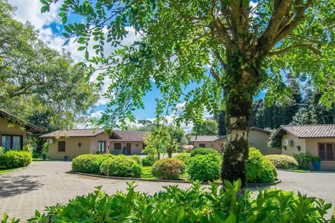 Hotel Fioreze Quero Quero, View from room