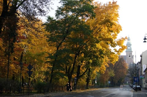 Novum House, Exterior