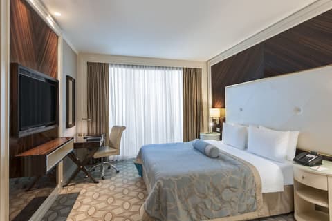 Elite World Istanbul Florya, Room