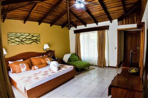 Arenal Paraíso Resort & Thermo Mineral Hot Springs, Room