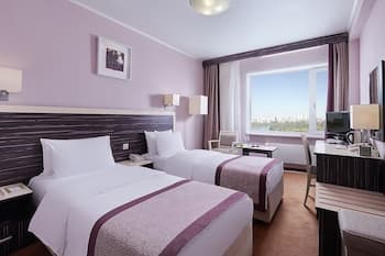 Hotel Izmailovo Delta, Room