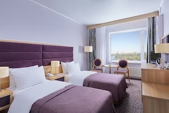 Hotel Izmailovo Delta, Room