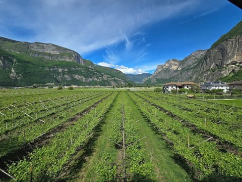 Antico Fienile Agritur, View from property