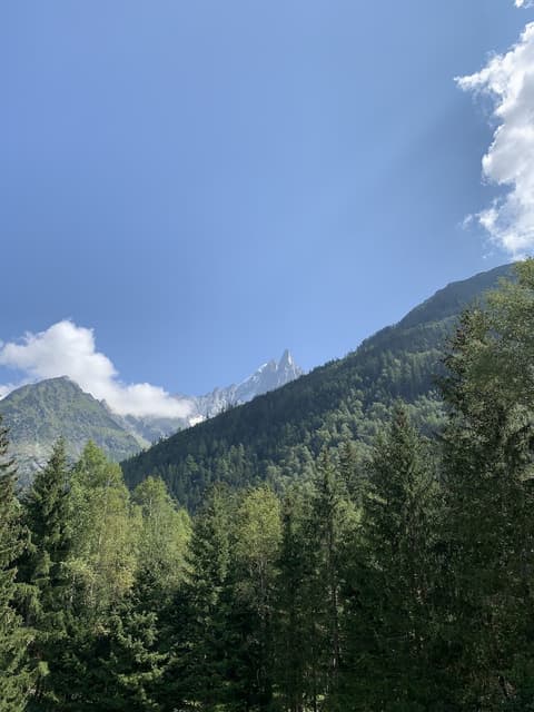 L’Arveyron Open House, Room