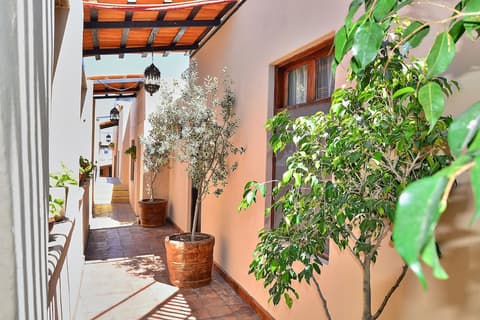 Hotel Mesones 49, Reception