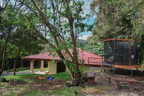 Macadamia - Monteverde, Garden