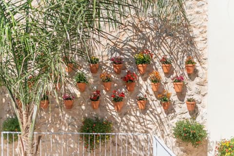 Placeta Vella Turismo de Interior, Terrace/patio