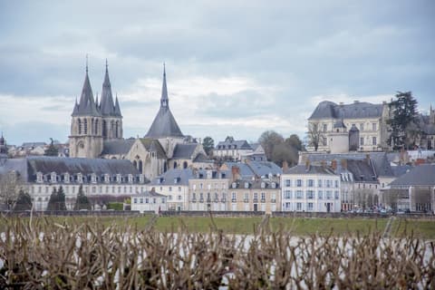 Fleur de Loire, View from room