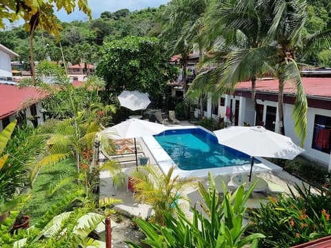 Wide Mouth Frog, Pool