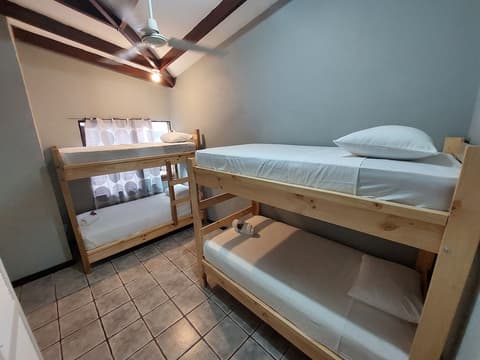 Wide Mouth Frog, Room