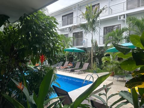 Wide Mouth Frog, Room