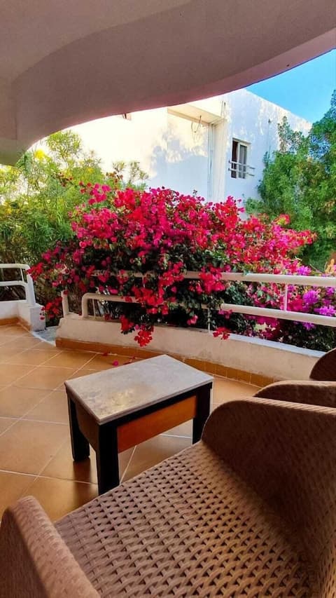 Viking Club Hotel, Room