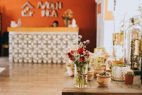 Anden Inca, Reception