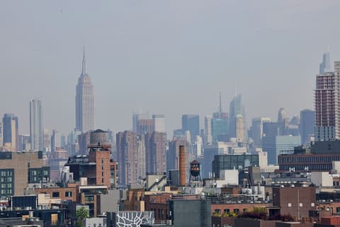 Penny Williamsburg, City view from property