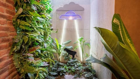 Hotel el Peñón By Bithotels, Hallway