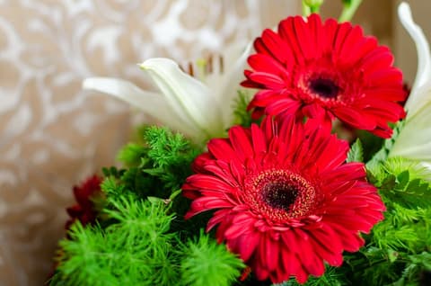 Hotel LX Rossio, Room