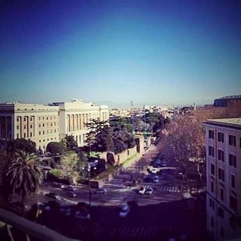 Hotel Ventura Rome, Balcony