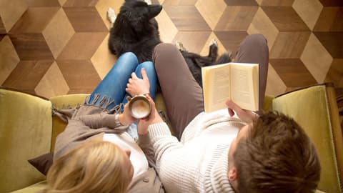 Alpenblick, Reception