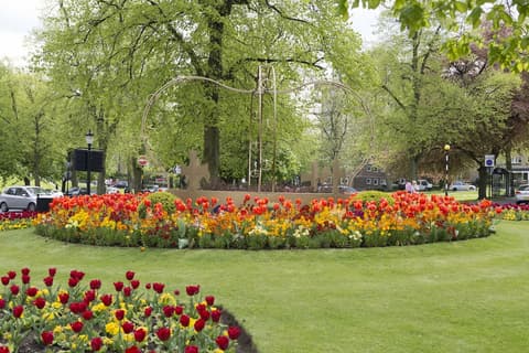 Crown Hotel Harrogate, View from property