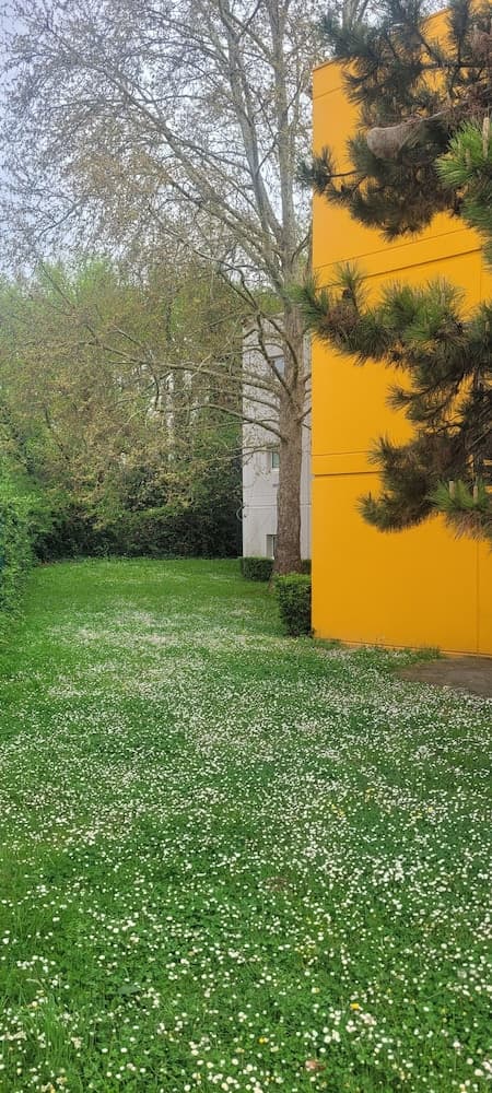 Premiere Classe Lyon Beynost, Garden view