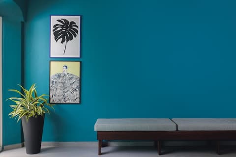 Kura Botanica Hotel, Reception