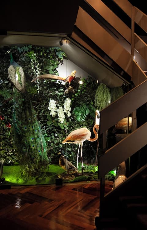 The Felix 10, Reception