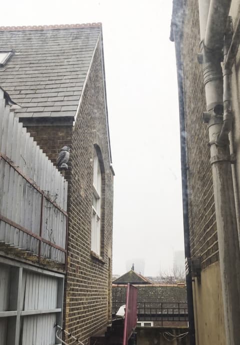 City Lodge Shadwell, View from room